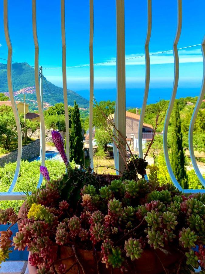 Appartement Residenze Maremonti à Maratea Extérieur photo