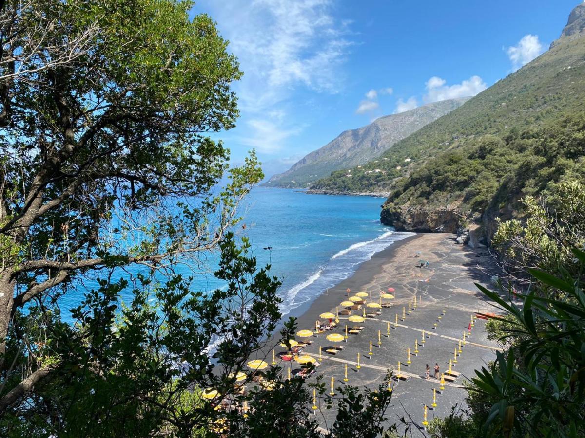 Appartement Residenze Maremonti à Maratea Extérieur photo